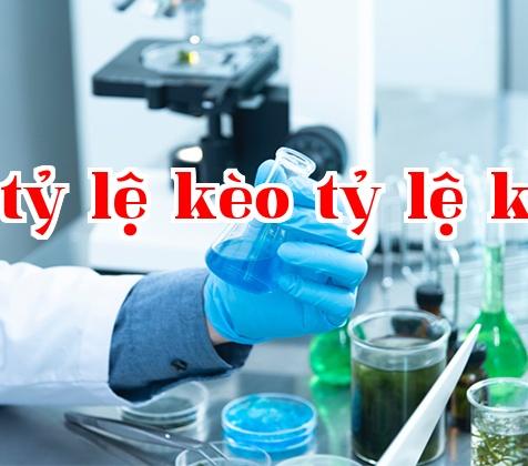 Công ty Công nghệ Năng lượng Trường Hồng, tỉnh Tứ Xuyên