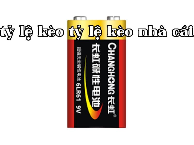 9V