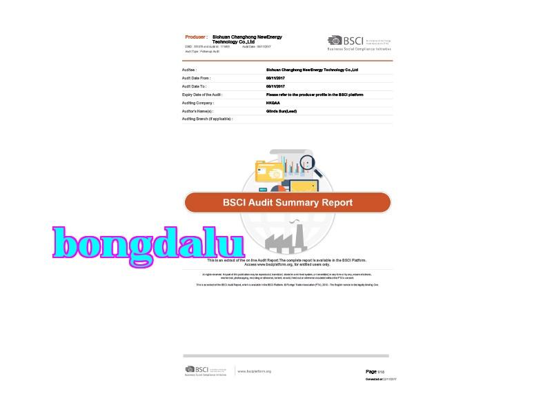 SummaryAuditReport2017 SummaryAuditReport2017