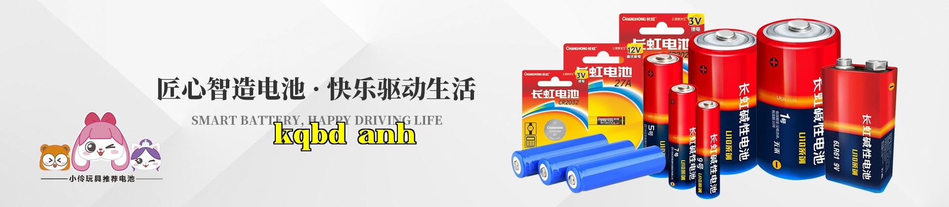 Công ty Công nghệ Năng lượng Trường Hồng, tỉnh Tứ Xuyên