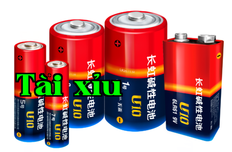 Sự cẩn trọng từ một sơ đồ quy trình sản xuất pin