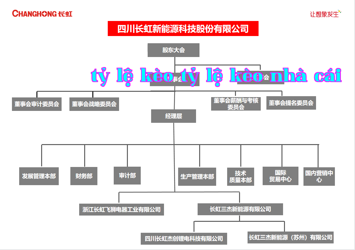 Bản đồ tổ chức của Công ty Cổ phần Công nghệ Năng lượng Trường Long Sichuan