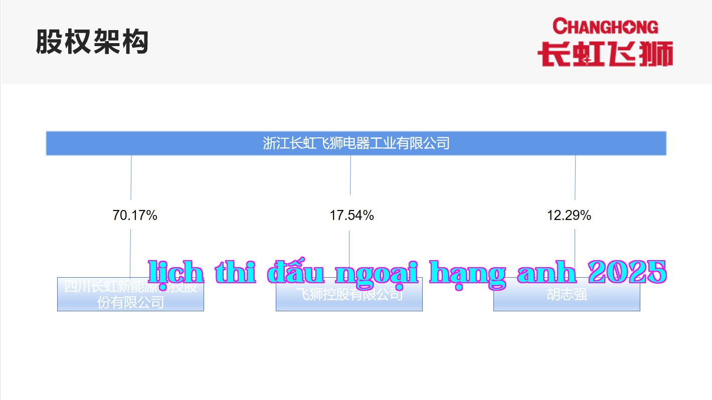 Cơ cấu cổ phần của Công ty Công nghiệp Điện tử Trường Hồng Phi Sư Chiết Giang